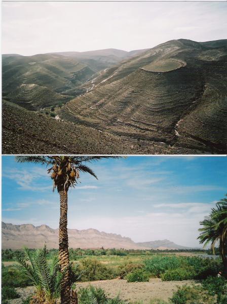 La vallée du Draa (Photo Lili et Abdou)