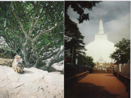 Temple bouddhiste
